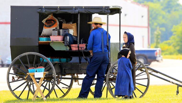 The Amish Might Be Immortal